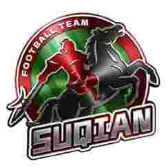 主队